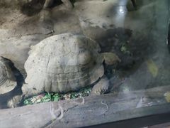 -太原动物园