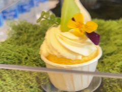 -奔驰上海利星(七宝店)