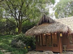-中国茶叶博物馆(双峰馆区)