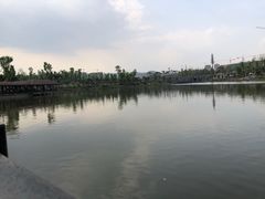 -枫香湖儿童公园