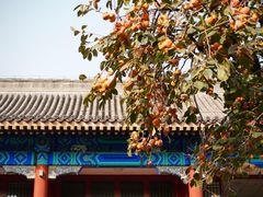 -北京石刻艺术博物馆(五塔寺)