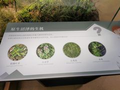 -同里国家湿地公园