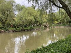 -瀛洲公园