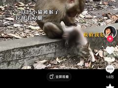 -昆明动物园