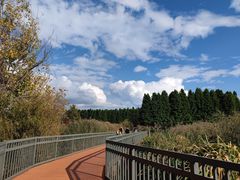 -捞渔河湿地公园