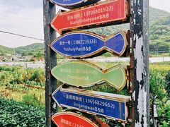 -枸杞岛