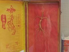 -广东中医药博物馆