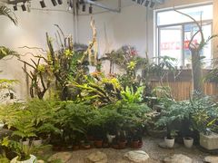 -双季花艺园艺市场(浦东店)