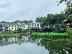 -朴墅(西湖青芝坞店·杭帮菜·家宴.14年的店)