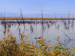 -野鸭湖国家湿地公园