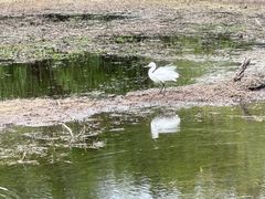 -洱海月湿地公园