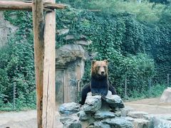 -成都动物园