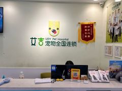 -艾吉宠物医院·疑难杂症转诊中心·猫友好(碧江路院)