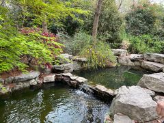 -昆山城市生态森林公园