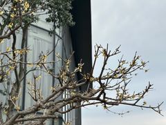 -亭下湖饭店(康岭店)