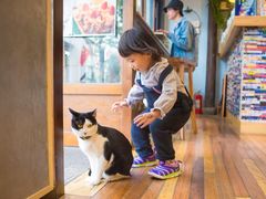 店内环境-猫的天空之城概念书店(杭州南宋御街店)