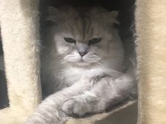 -小时光咖啡馆(开森度假森林店)