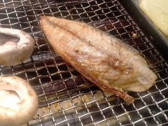 -坛子李地摊烤肉(罗斯福店)