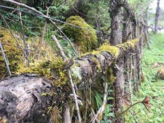 -硗碛藏寨·神木垒景区