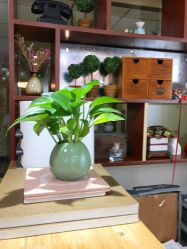 -小苹果儿童摄影(崇安店)