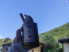 -仰天湖大草原