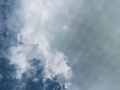 -鹅湖玫瑰文化园