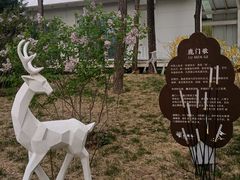 -林栖谷森林康养度假区