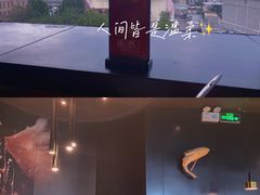 -老板恋上鱼(印象城店)