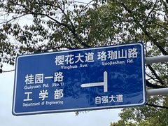 -武汉大学-樱园
