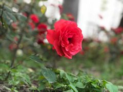 -苏州河梦清园环保主题公园