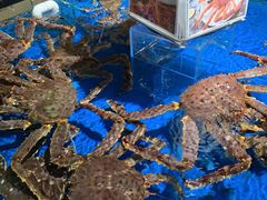 水产区-盒马鲜生(馥邦国际店)