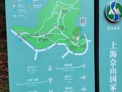 -上海佘山国家森林公园天马山园