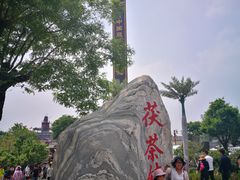 -茯茶镇