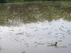 -木守西溪溪隐餐厅
