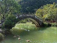 -靖西鹅泉风景区