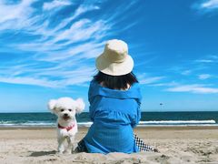 -南戴河旅游度假区