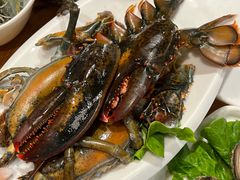 -鲜炉季港式打边炉(尚海湾店)