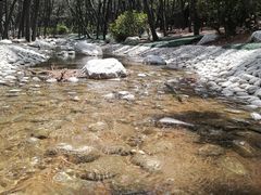 -林海公园