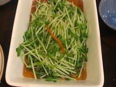 白灼豆苗-火宫殿·湘菜小吃·商务宴请·生日聚会(东塘店)