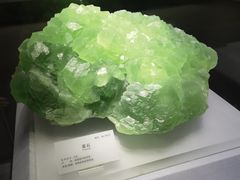 -湖南省地质博物馆