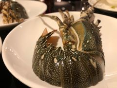 -圣丰索菲特·2 On 988 Café 自助餐厅