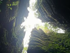 -梭布垭石林景区