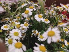 -花十悦·鲜花咖啡餐厅(振业城一期店)