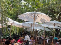 -Fern Forest Cafe
