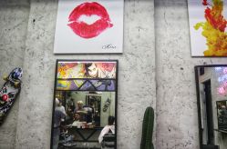 -SALON V