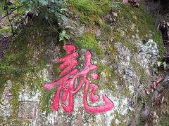 -十八棵（老龙井）御茶园(老龙井店)