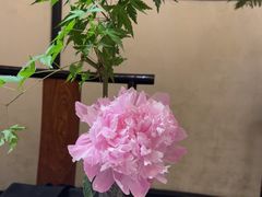 -31号公馆(黄兴广场白果园店)