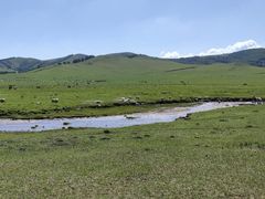 -塞罕坝国家级自然保护区