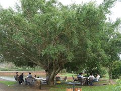 -侯臣咖啡文化村