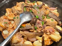 鹿茸菌生焗河田鸡-闽和南(深圳万象城店)